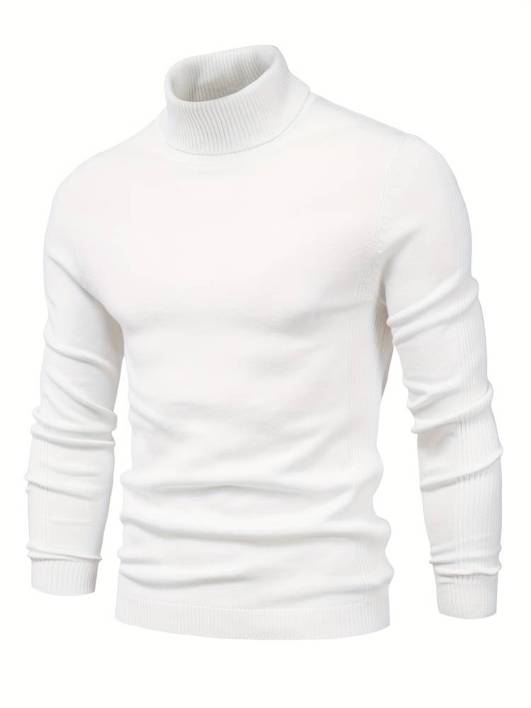 Winter Rollkragenpullover 2