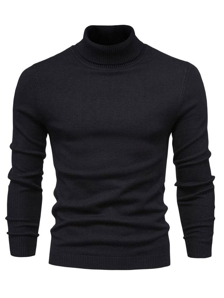 Winter Rollkragenpullover 6